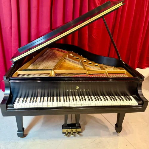 Ebony Steinway M