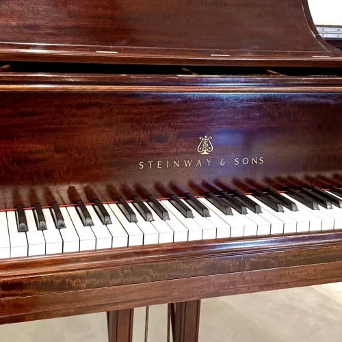 Steinway A3 1